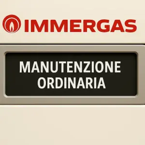 Manutenzione ordinaria caldaia Immergas: servizio annuale per caldaie Immergas a Parma e rpvincia